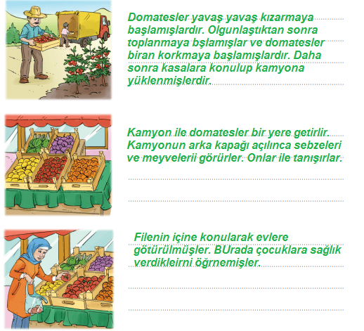 2. Sınıf Türkçe Ders Kitabı Cevapları Sayfa 233 ADA Yayınları (Kırmızı Domatesin Yolculuğu Metni)