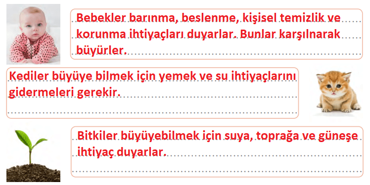 3. Sınıf Türkçe Ders Kitabı Cevapları Sayfa 158 Gizem Yayıncılık (Ufacık Tefeciktim Metni)