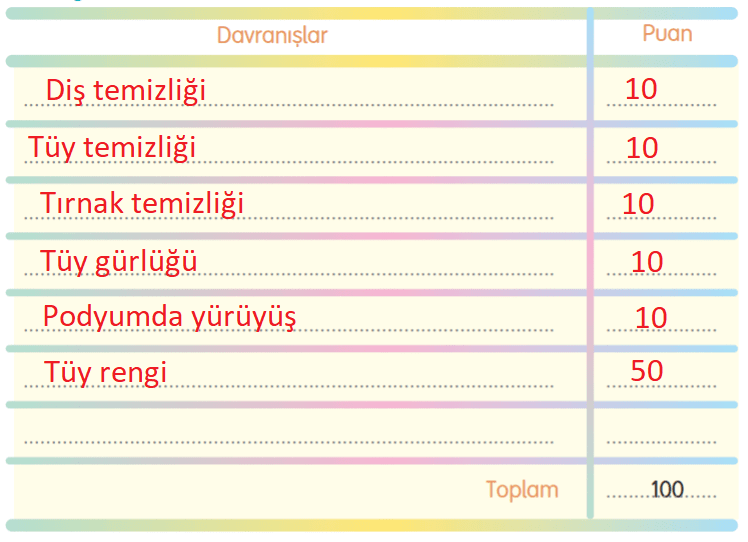 3. Sınıf Türkçe Ders Kitabı Cevapları Sayfa 174 Gizem Yayıncılık (Düş Macunu Metni)