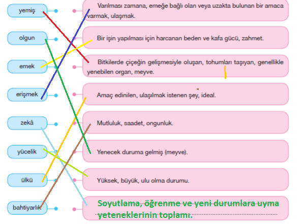 7. Sınıf Türkçe Ders Kitabı Cevapları Sayfa 201 ÖZGÜN Yayınları (Ağaç ve Sen Metni )