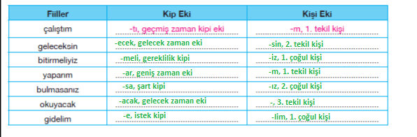 7. Sınıf Türkçe Ders Kitabı Cevapları Sayfa 239 ÖZGÜN Yayınları (Ampulün İlk Yanışı Metni )