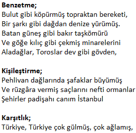 8. Sınıf Türkçe Ders Kitabı Cevapları Sayfa 159 MEB Yayınları (Türkiye Metni)