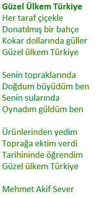 8. Sınıf Türkçe Ders Kitabı Cevapları Sayfa 161 MEB Yayınları (Türkiye Metni)