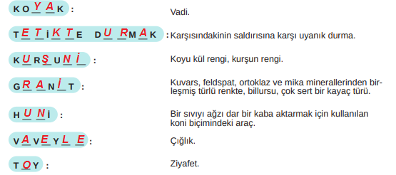 8. Sınıf Türkçe Ders Kitabı Cevapları Sayfa 164 MEB Yayınları (Peri Bacaları Metni)