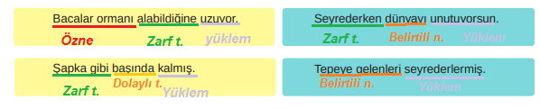 8. Sınıf Türkçe Ders Kitabı Cevapları Sayfa 167 MEB Yayınları (Peri Bacaları Metni)