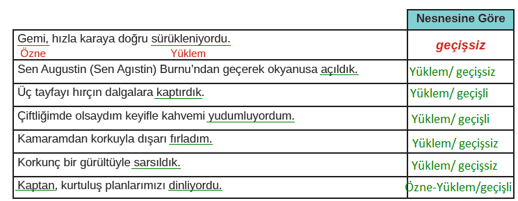 8. Sınıf Türkçe Ders Kitabı Cevapları Sayfa 171 MEB Yayınları (Robinson Crusoe Metni)