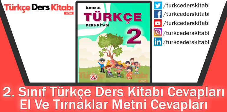 El Ve Tırnaklar Metni Cevapları (2. Sınıf Türkçe ADA)