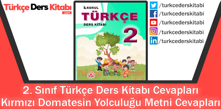 Kırmızı Domatesin Yolculuğu Metni Cevapları (2. Sınıf Türkçe ADA)