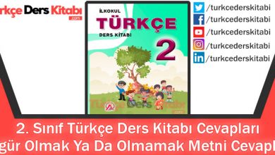 Özgür Olmak Ya Da Olmamak Metni Cevapları (2. Sınıf Türkçe ADA)