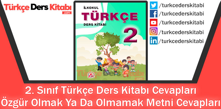 Özgür Olmak Ya Da Olmamak Metni Cevapları (2. Sınıf Türkçe ADA)