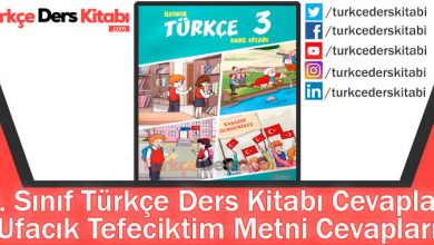 Ufacık Tefeciktim Metni Cevapları (3. Sınıf Türkçe Gizem)