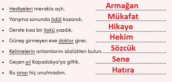 3. Sınıf Türkçe Ders Kitabı Cevapları Sayfa 141 MEB Yayınları (4. Tema Değerlendirme Çalışması)