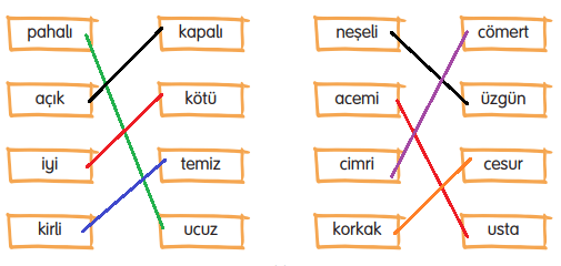 3. Sınıf Türkçe Ders Kitabı Cevapları Sayfa 64 Gizem Yayıncılık (2. Temada Öğrendiklerimizi Değerlendirelim)11