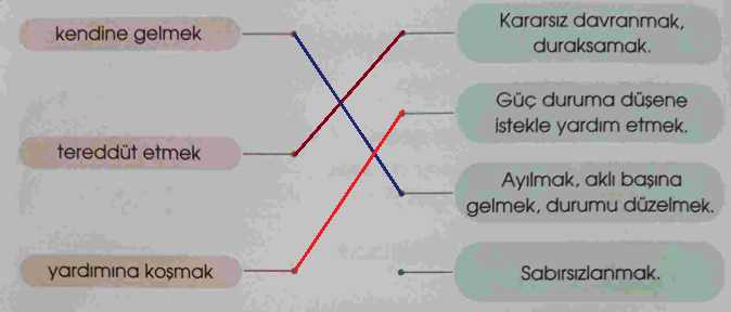 4. Sınıf Türkçe Ders Kitabı Cevapları Sayfa 24 Özgün Yayınları (Yavru Ahtapot Olmak Çok Zor Metni)1