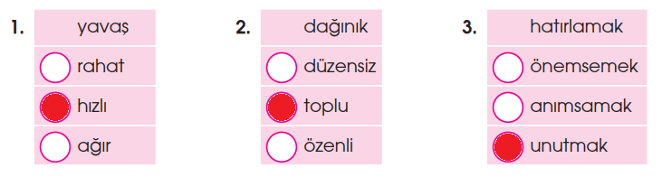 4. Sınıf Türkçe Ders Kitabı Cevapları Sayfa 35 Özgün Yayınları (1. Tema Değerlendirme Çalışmaları)