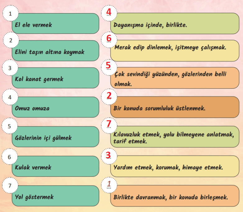 6. Sınıf Türkçe Ders Kitabı Cevapları Sayfa 262 MEB Yayınları (Dostluğa Dair Metni)