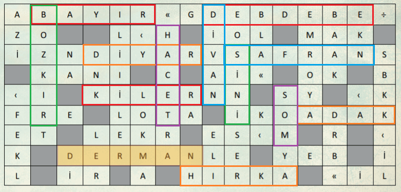 6. Sınıf Türkçe Ders Kitabı Cevapları Sayfa 265 MEB Yayınları (Hacettepe Metni)