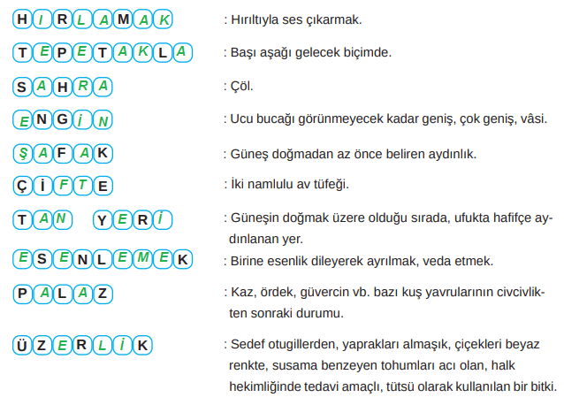 8. Sınıf Türkçe Ders Kitabı Cevapları Sayfa 236 MEB Yayınları (Gündüzünü Kaybeden Kuş Metni)