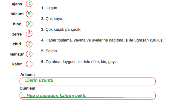 8. Sınıf Türkçe Ders Kitabı Cevapları Sayfa 264 MEB Yayınları (Yaşamaya Dair Metni)