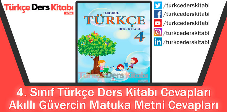 Akıllı Güvercin Matuka Metni Cevapları (4. Sınıf Türkçe MEB)