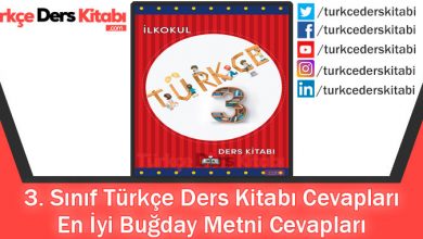En İyi Buğday Metni Cevapları (3. Sınıf Türkçe MEB)