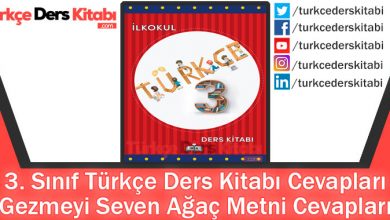 Gezmeyi Seven Ağaç Metni Cevapları (3. Sınıf Türkçe MEB)