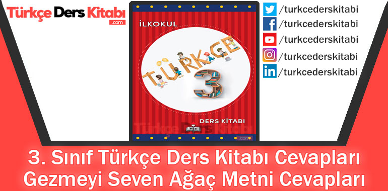 Gezmeyi Seven Ağaç Metni Cevapları (3. Sınıf Türkçe MEB)