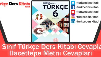 Hacettepe Metni Cevapları (6. Sınıf Türkçe MEB)