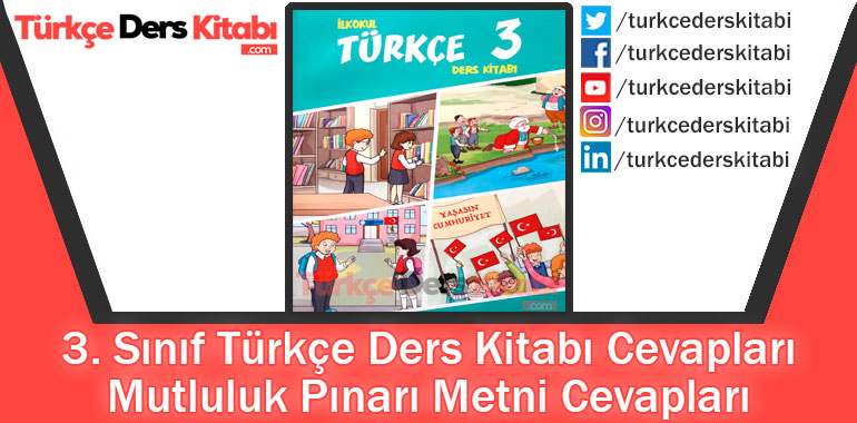 Mutluluk Pınarı Metni Cevapları (3. Sınıf Türkçe Gizem)