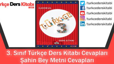 Şahin Bey Metni Cevapları (3. Sınıf Türkçe MEB)