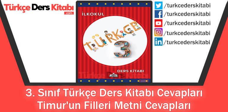 Timur'un Filleri Metni Cevapları (3. Sınıf Türkçe MEB)