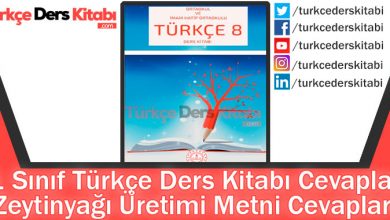 Zeytinyağı Üretimi Metni Cevapları (8. Sınıf Türkçe MEB)
