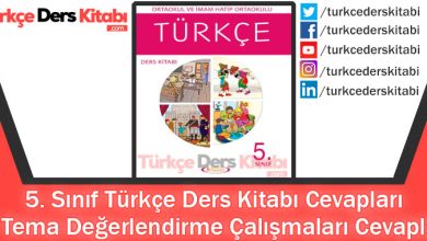 2. Tema Değerlendirme Çalışmaları Cevapları (5. Sınıf Türkçe Anıttepe)