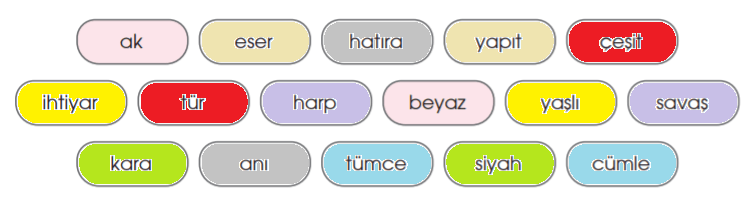 4. Sınıf Türkçe Ders Kitabı Cevapları Sayfa 82 Özgün Yayınları (Kastamonulu Safiye Metni)