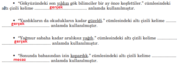 5. Sınıf Türkçe Ders Kitabı Cevapları Sayfa 37 Anıttepe Yayınları (1.Tema Değerlendirme Soruları)