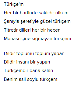 6. Sınıf Türkçe Ders Kitabı Cevapları Sayfa 25 MEB Yayınları (Arıyorum Metni)