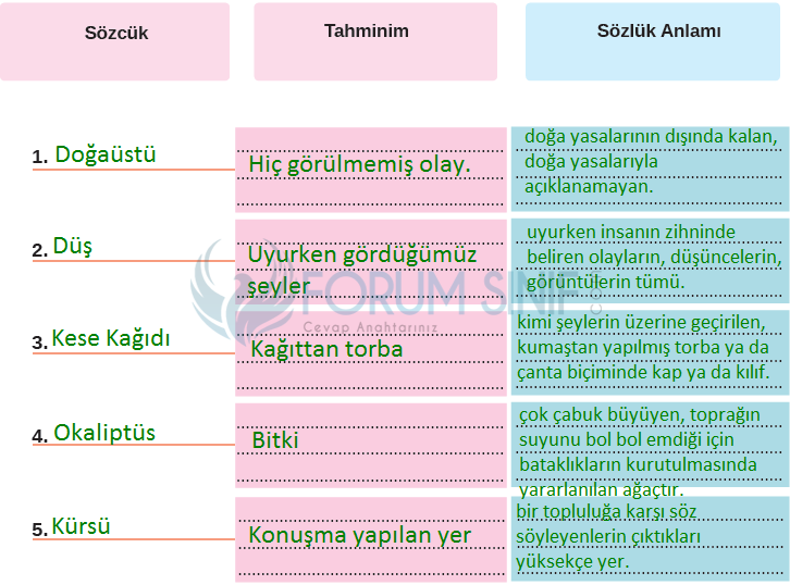 8. Sınıf Türkçe Ders Kitabı Cevapları Sayfa 69 MEB Yayınları (Atatürk'ü Gördüm Metni)