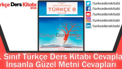 İnsanla Güzel Metni Cevapları (8. Sınıf Türkçe MEB)