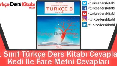 Kedi İle Fare Metni Cevapları (8. Sınıf Türkçe MEB)