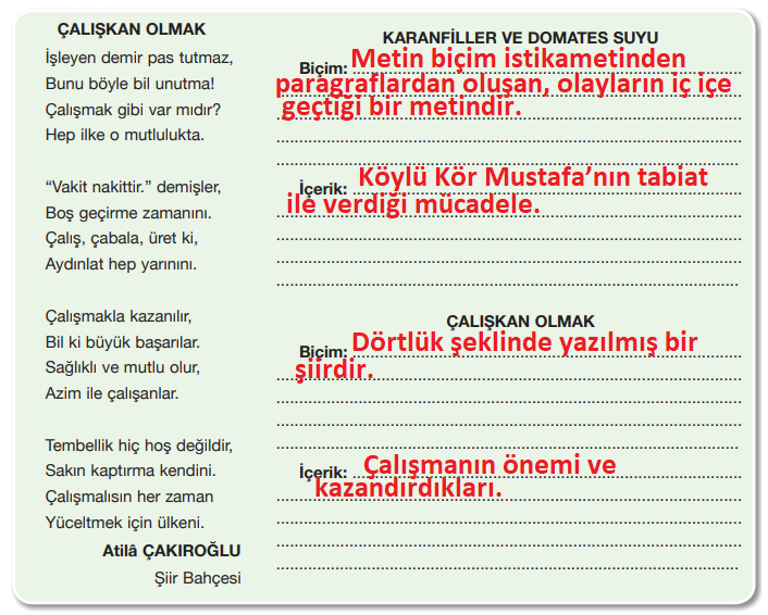 7. Sınıf Türkçe Ders Kitabı Cevapları Sayfa 16 ÖZGÜN Yayınları (Karanfiller Ve Domates Suyu Metni)