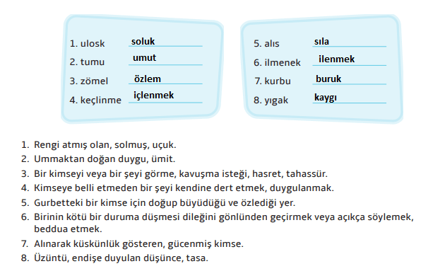 7. Sınıf Türkçe Ders Kitabı Cevapları Sayfa 24 MEB Yayınları (Ana İşsiz Kalınca Metni)