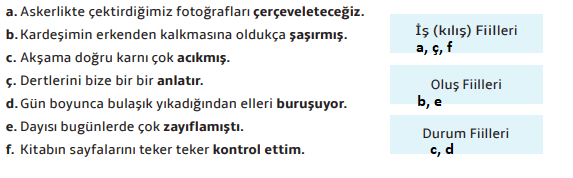 7. Sınıf Türkçe Ders Kitabı Cevapları Sayfa 35 MEB Yayınları (1. Tema Değerlendirme Soruları)