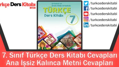 Ana İşsiz Kalınca Metni Cevapları (7. Sınıf Türkçe MEB)