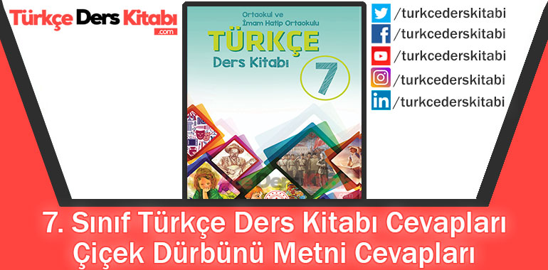 Çiçek Dürbünü Metni Cevapları (7. Sınıf Türkçe MEB)