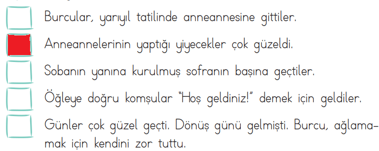 2. Sınıf Türkçe Ders Kitabı Cevapları Sayfa 105 ADA Yayınları (En Güzel Yarıyıl Tatili Metni)