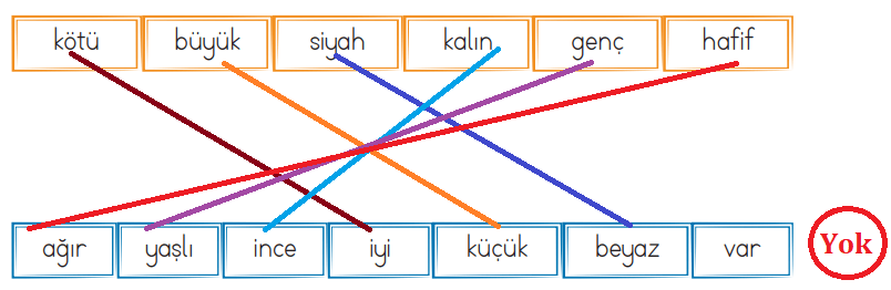 2. Sınıf Türkçe Ders Kitabı Cevapları Sayfa 101 ADA Yayınları (3. Tema Değerlendirme Çalışmaları)