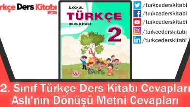Aslı'nın Dönüşü Metni Cevapları (2. Sınıf Türkçe ADA)