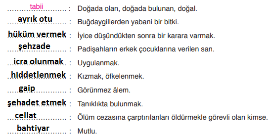 6. Sınıf Türkçe Ders Kitabı Cevapları Sayfa 24 ATA Yayınları (Kuğular Metni)