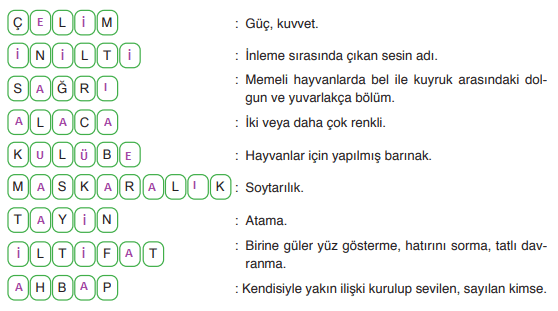 6. Sınıf Türkçe Ders Kitabı Cevapları Sayfa 28 ATA Yayınları (Sahibini Unutmayan Köpek Metni)