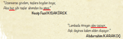 6. Sınıf Türkçe Ders Kitabı Cevapları Sayfa 55 ATA Yayınları (Aslanla Fare Metni)